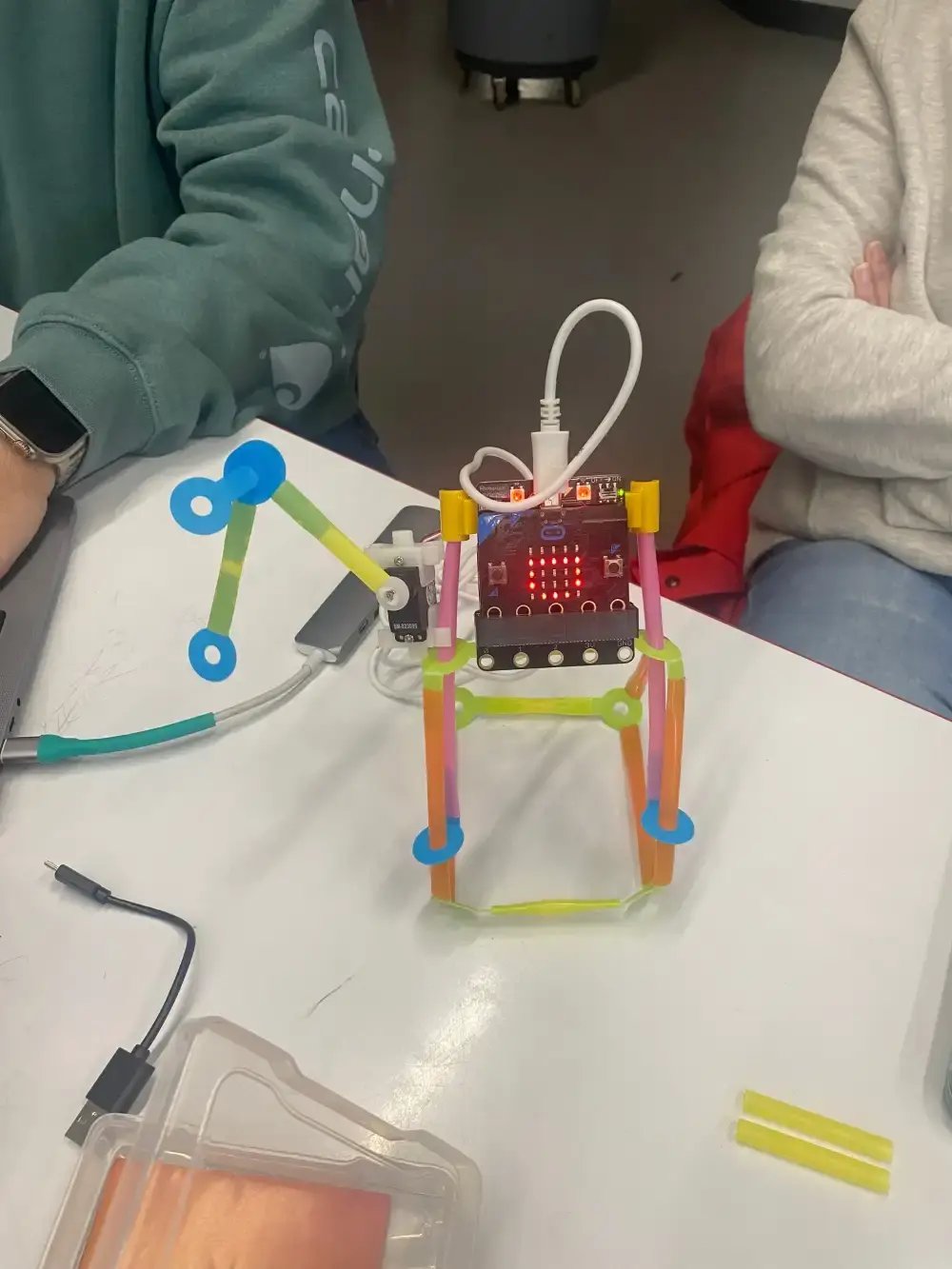 Judy Bowling Microbit Build