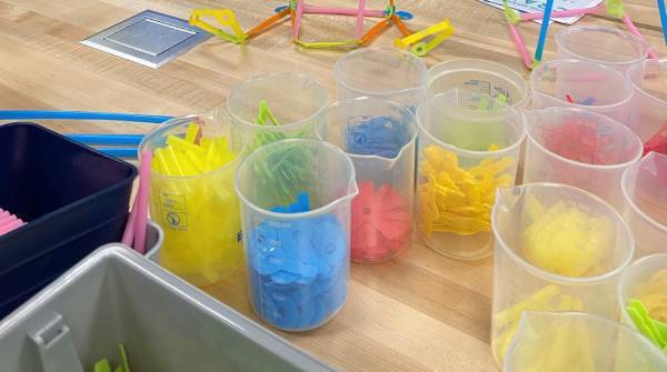 Sara Hays Organized