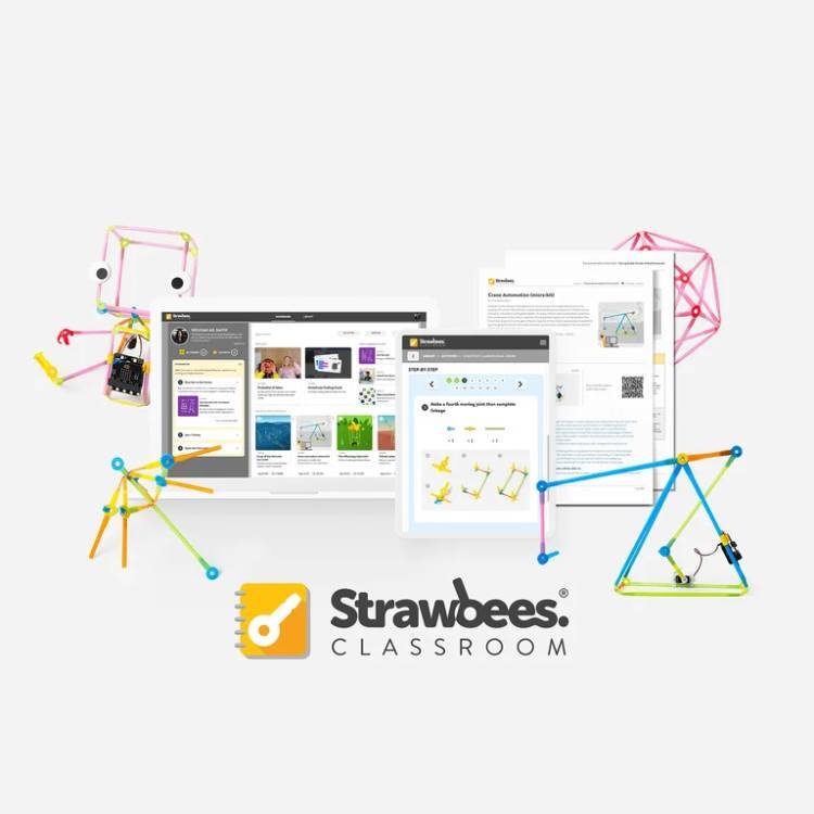 Strawbees Classroom Product