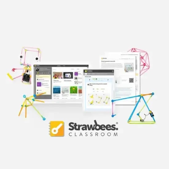 Strawbees Classroom Product 550 x 550