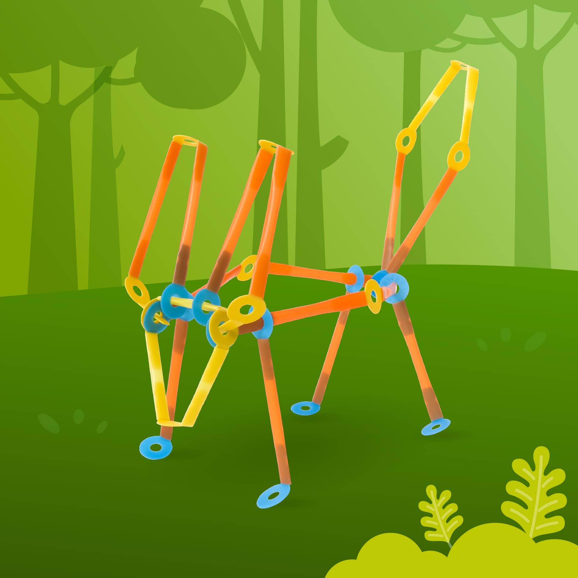 res_les_intro-temperate-rainforest-biome_cover-1