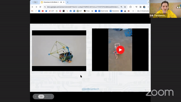 webinar_birdbrain-24_03