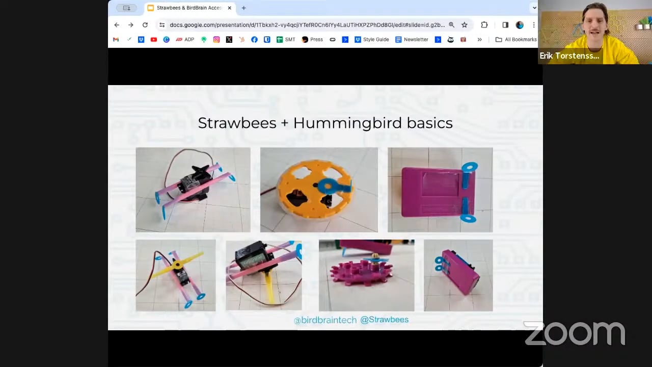 webinar_birdbrain_screenshot_03