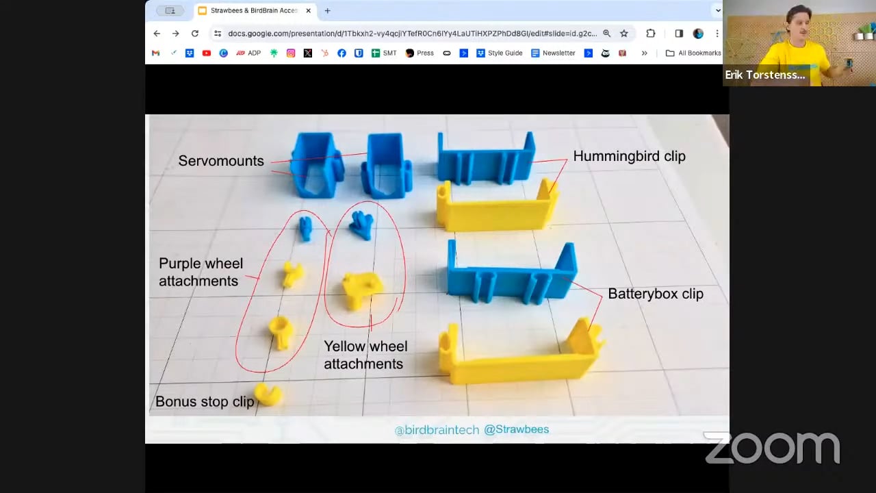 webinar_birdbrain_screenshot_06